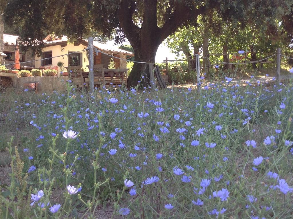 B&B il soffio di Eolo Bagnoregio Esterno foto